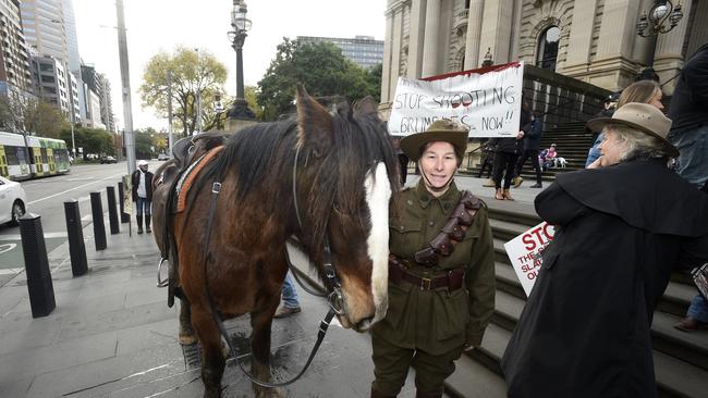 A group in Melbourne to protest against the cull of brumbies in Victoria's High Country. Picture: NCA NewsWire / Andrew Henshaw