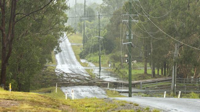 Powerlines and a tree down at Giles Road, Redland Bay on Saturday. Picture: Richard Walker