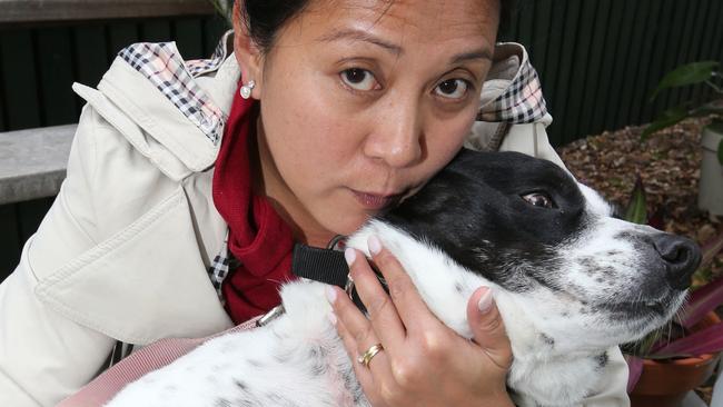 Pictured at her Carara home Ms Shelia Murray and Her dog Chess age 7. Chess was attacked by a possum and she has gone to every level of government trying to remove it for fear her dog Chess will be attacked again. Pic Mike Batterham