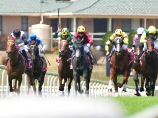 The Port Macquarie Cup is on today