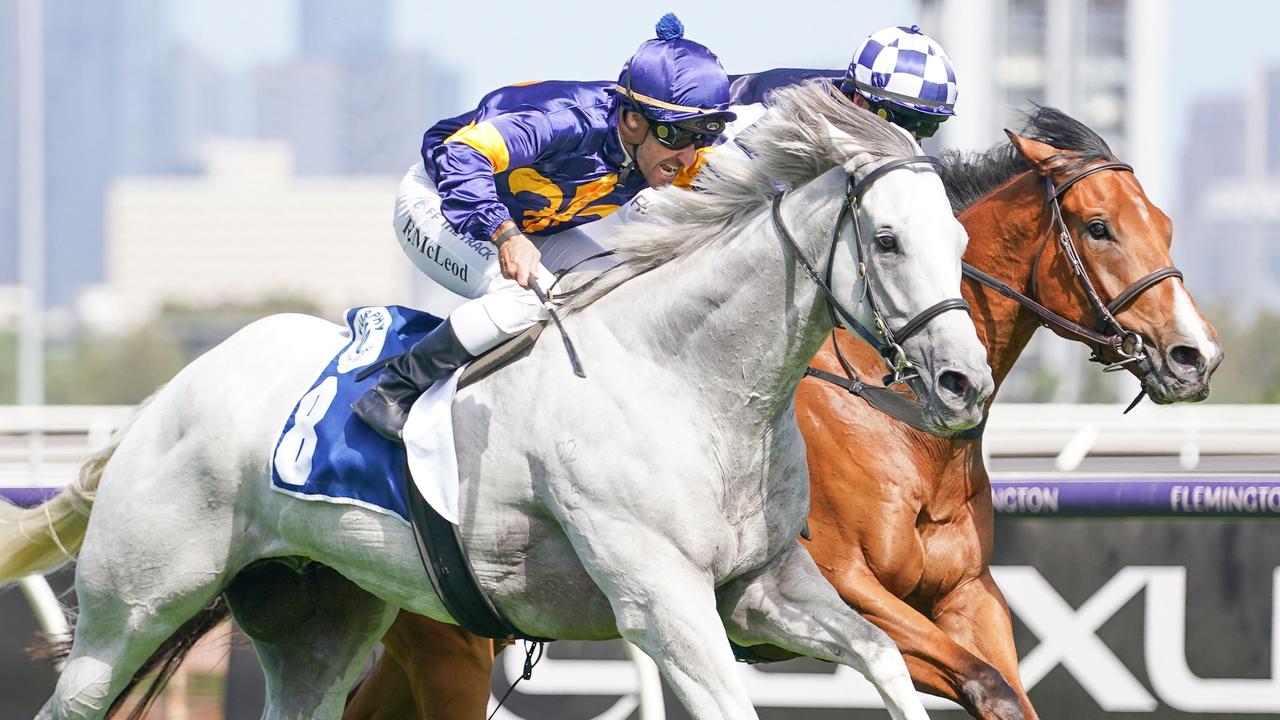 The striking grey Not To Be Mist has been  kept safe in early betting on Saturday's Listed Chester Manifold Stakes at Flemington. Picture : Racing Photos via Getty Images.