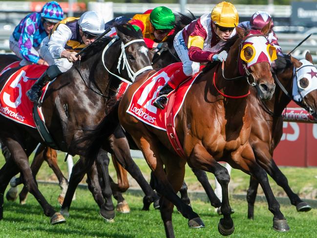 Fierce Impact wins the Toorak Handicap.