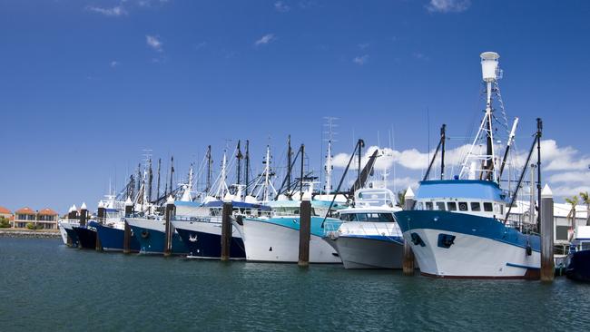 The NSW fishing industry has been brought to its knees following reforms that made small businesses compete for shares to stay afloat..