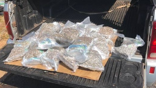 Cannabis police found at Dunedoo in the back of a vehicle driven by drug mule Jeffrey Mears. Picture: NSW Police