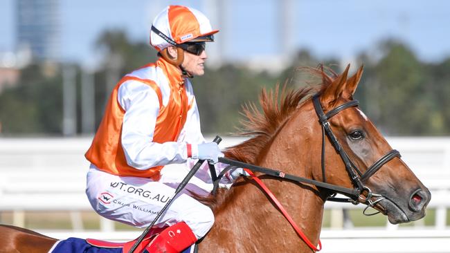 Jockey Craig Williams rides Vow And Declare before unplaced finish in race 4, the William Newton Vc Handicap, during Anzac Day Race Day at Flemington Racecourse in Melbourne, Saturday, April 25, 2020. (AAP Image/Supplied by Reg Ryan, Racing Photos)  NO ARCHIVING, EDITORIAL USE ONLY