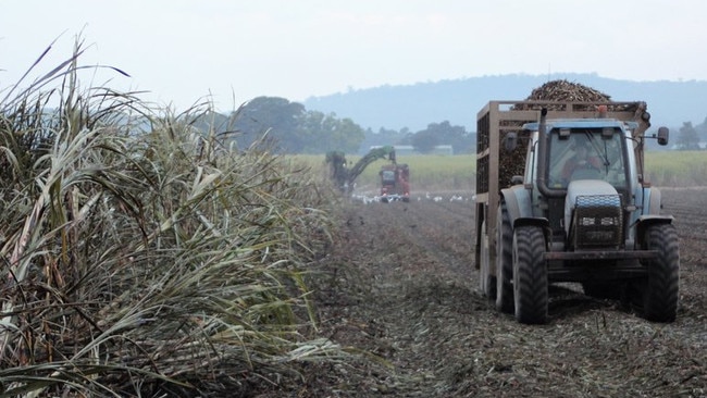 Harwood Sugar Mill harvest. Cane farmers on the North Coast are celebrating a sweet deal with record prices amid a bumper crop for the 2024 season.