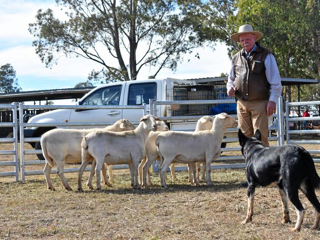 Ken Sykes with working kelpie, Woonalea Tip. Picture: Cassandra Glover