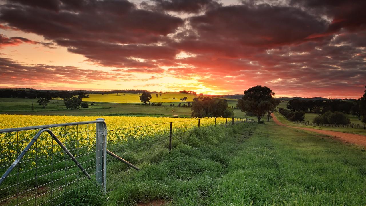 Chris Hemsworth to visit Cowra after tourism campaign caught his eye ...