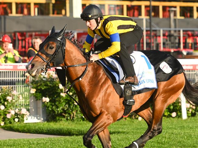 MELBOURNE, AUSTRALIA - OCTOBER 17: Damian Lane riding Cox Plate runner Prognosis of Japan during a track gallop at Moonee Valley Racecourse on October 17, 2024 in Melbourne, Australia. (Photo by Vince Caligiuri/Getty Images)