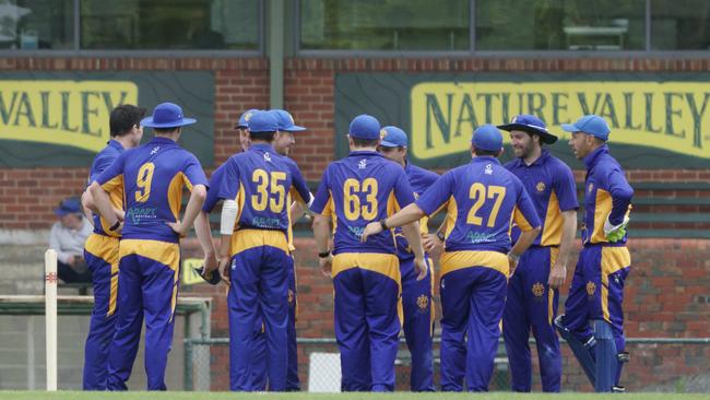 Williamstown players celebrate a wicket. Picture: Valeriu Campan