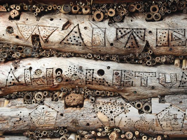 Close-up of the Native Bee Hotel near Urrbrae House. Picture: Calum Robertson