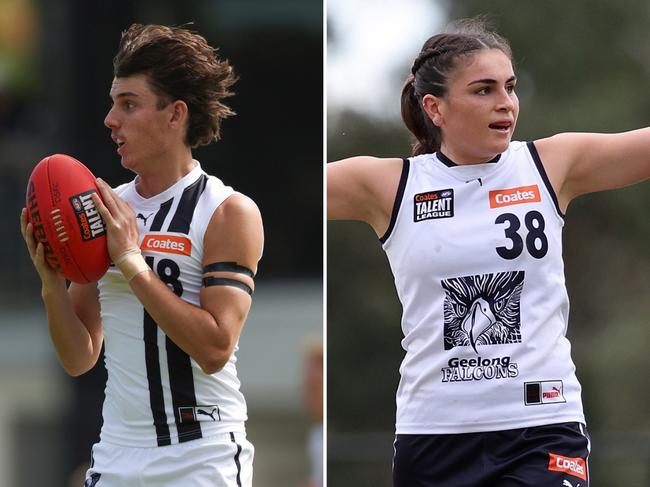 Geelong Falcons Coates TL live stream art.