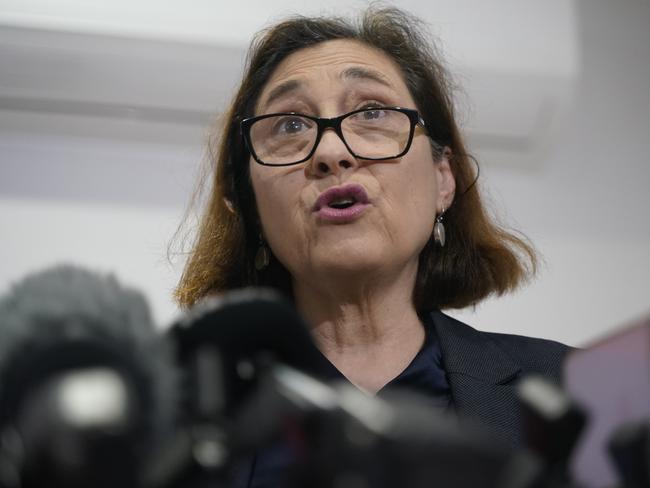 MELBOURNE,AUSTRALIA-NewsWire Photos 11 JULY, 2024: Minister for Energy and Resources Lily Lily D’Ambrosio makes an announcement regarding solar energy uptake in western suburbs . Picture: NCA NewsWire / Valeriu Campan