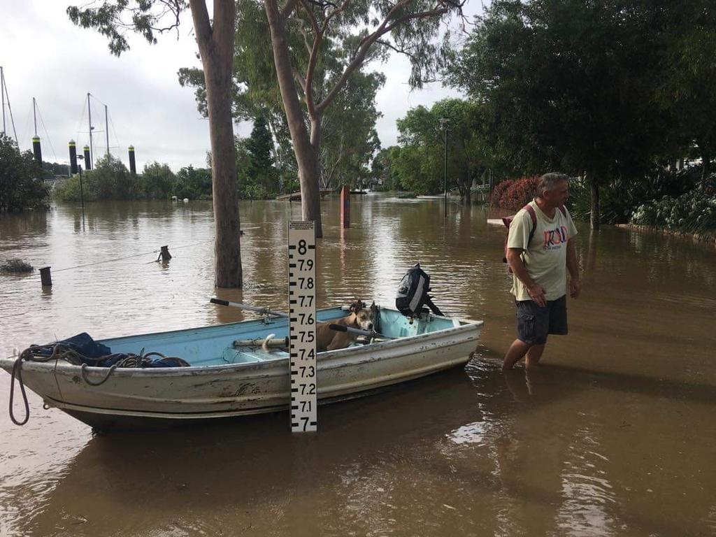 The river is steadily rising in Maryborough.