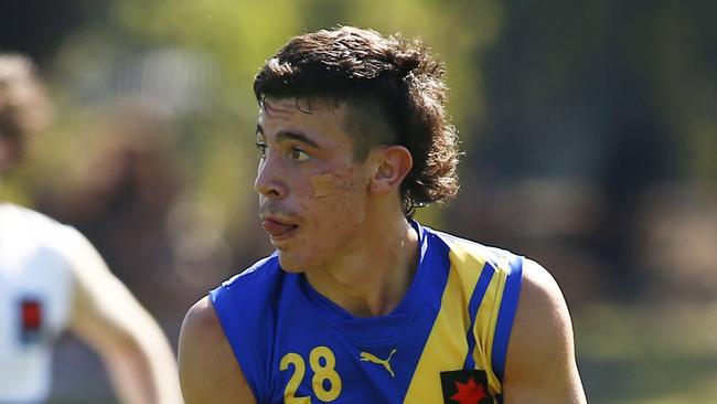 Massimo D’Ambrosio is being touted as a top prospect. Photo: AFL Photos.