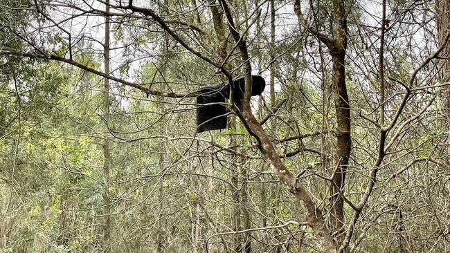 A single gumboot sits in the tree with other distant items including a washing machine.