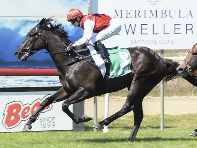 Direct Fire can end the day on a high note for Theresa Bateup and Jess Taylor. Picture: Bradley Photos