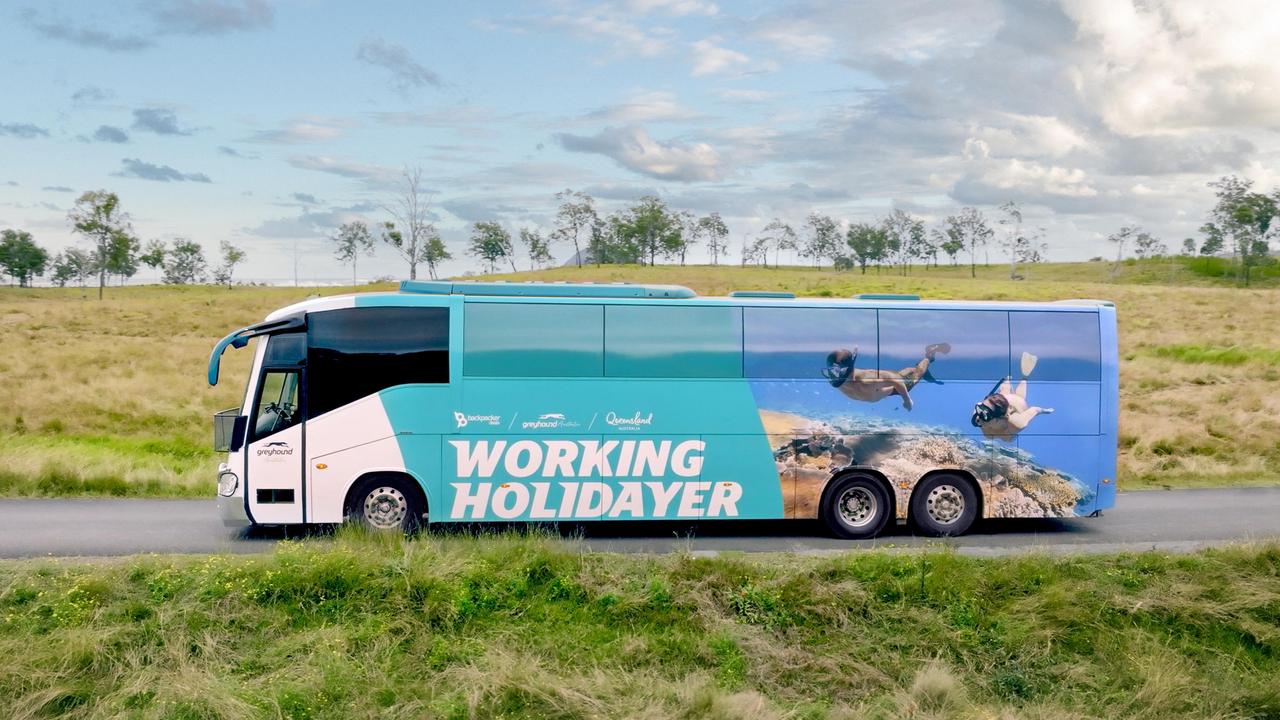 More than a dozen Greyhound buses plastered with iconic images of Queensland tourism will travel the east coast to bring working holiday-makers to the Sunshine State. Picture: supplied