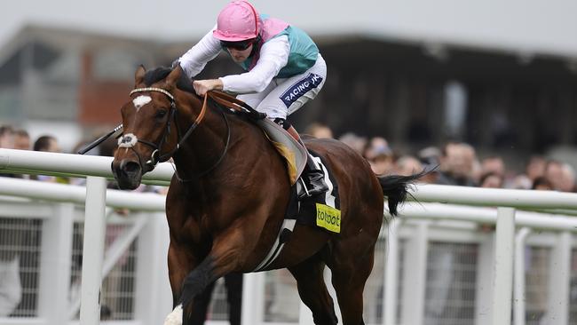 Undefeated champion racehorse and super sire, Frankel, has strong chances in three Australian Group 1 races at Randwick on Saturday. Picture: Getty Images