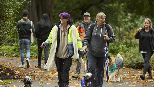Million Paws Walk in the Adelaide Botanic Gardens, Sunday, May 28, 2023. Picture: Matt Loxton
