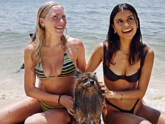 DAILY TELEGRAPH - 21.12.24Warm weather in Rose Bay today. L to R, Isabel Coates and Tash Robinson with ÃBearÃ the dog. Tash mobile 0410457589.  Picture: Sam Ruttyn