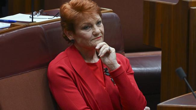 Senator Pauline Hanson. Picture: NCA NewsWire / Martin Ollman