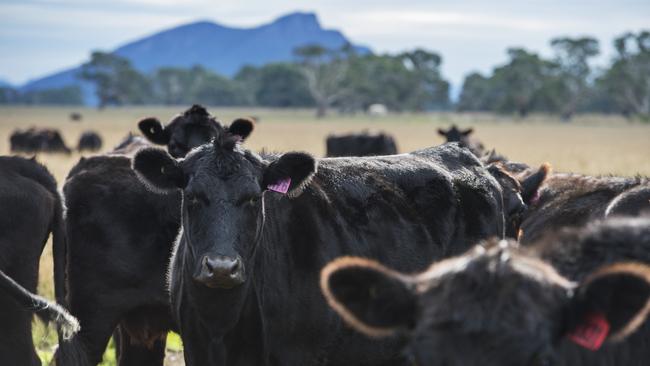 Off-market sale: Dunkeld Pastoral Co has reportedly sold its Eulameet property for more than $20 million.