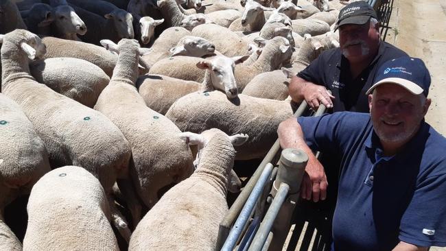 Windermere producer Chris Powell paid a new record price of $444 for a pen of first-cross ewe lambs at Bendigo today. He is pictured with Nutrien Ballarat agent Paul Constable. Picture: Jenny Kelly.