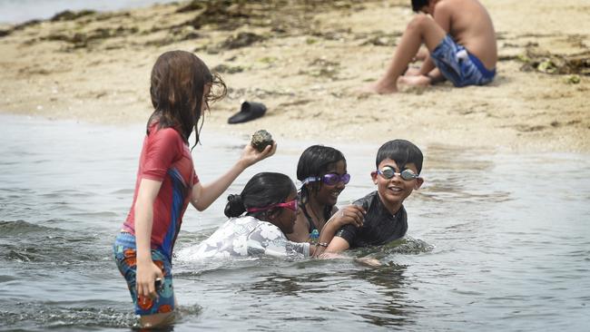 Children swim at Altona Beach Melbourne endures it second day of temperatures in the high 30s. Picture: NewsWire / Andrew Henshaw