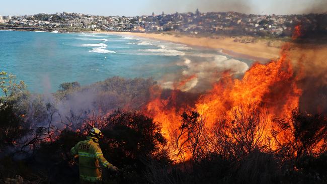 The hazard reduction burn at North Curl Curl. Picture: David Swift.