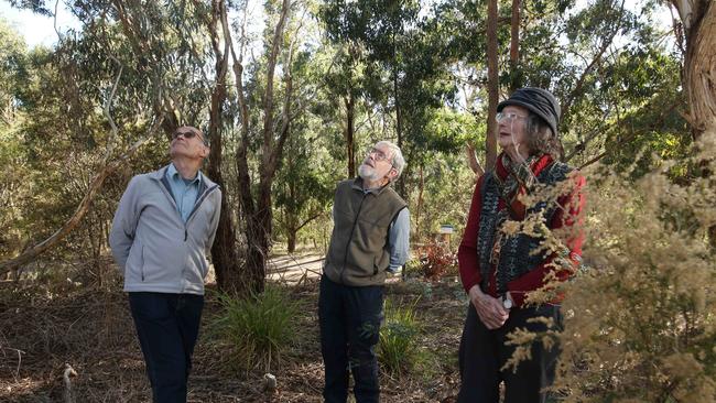 Friends of Damper Creek Doug Scott, John Poppins and Freya Headlam. Picture: Stuart Milligan