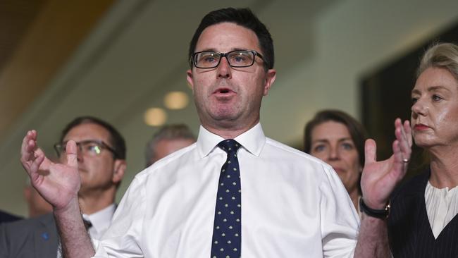 Nationals leader David Littleproud claimed Australians would be faced with an increasing grocery bill as a result of the 50 project cuts. Picture: NCA NewsWire / Martin Ollman