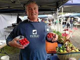 KEEP SUPPORTING: Peter Murray from Nutrifruit at Palmwoods selling strawberries at Noosa Farmers Markets. Picture: Contributed