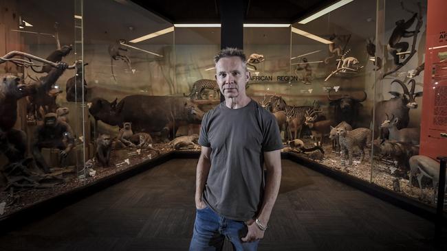 SA Museum taxidermist Jo Bain in the World Mammals Gallery. Picture: Roy VanDerVegt