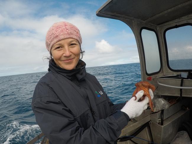 UniSA research fellow Dr Zoë Doubleday is helping to develop an octopus fishery for South Australia with the owners and operators of SA Premium Octopus at Port Lincoln. Supplied.