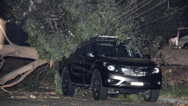 Last night’s strong southerly brought down trees in suburbs across Sydney. Picture: Gordon McComiskie