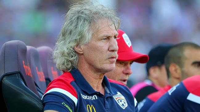 PERTH, AUSTRALIA - JANUARY 11: Gertjan Verbeek coach of Adelaide United watches the game from the bench during the round 14 A-League match between the Perth Glory and Adelaide United at HBF Park on January 11, 2020 in Perth, Australia. (Photo by James Worsfold/Getty Images)