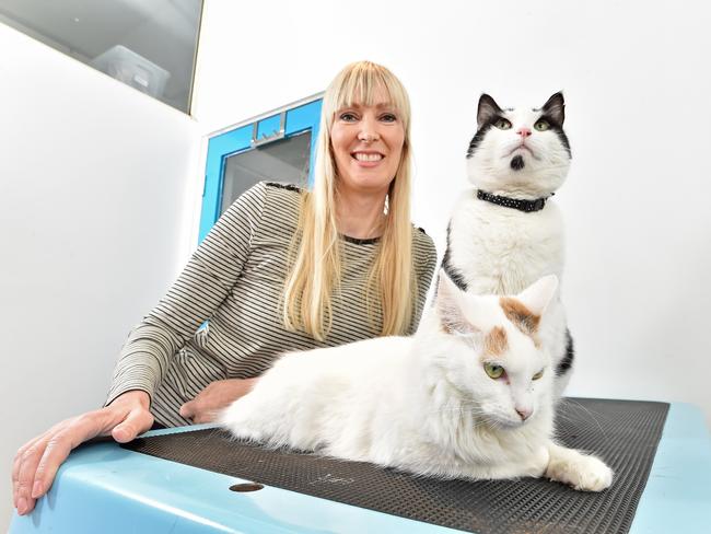 Kerin Welford with two of the remaining Eveleigh St cats after a spate of disappearances. Picture: AAP/Troy Snook