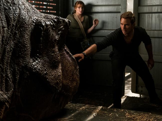 Howard (as Claire) and Pratt (as Owen) will become a T-Rex’s breakfast if they’re not careful in a scene from the new movie Jurassic World: Fallen Kingdom. Picture: Universal Pictures