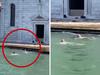 ‘No respect’: Tourists’ swim horrifies nation