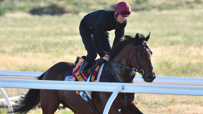 Caulfield Cup favourite Johannes Vermeer. Picture: Getty Images