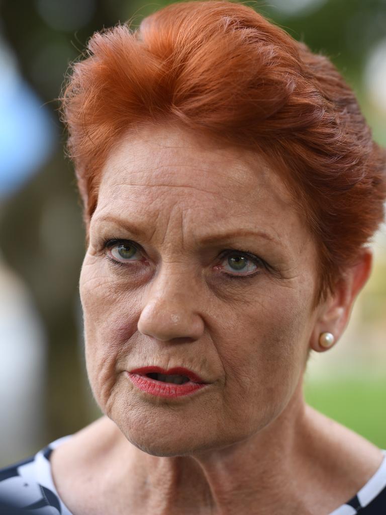 Pauline Hanson Responds After One Nation Fairfax Candidates Controversial Post The Courier Mail