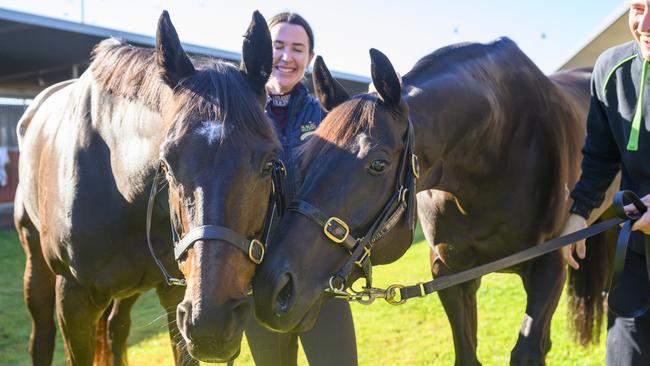 Pride Of Jenni and Antino come face-to-face before the Doomben Cup. Picture: Michael McInally