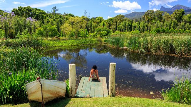 Garden of Light, Tyalgum.