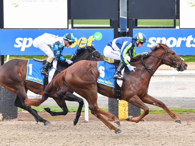 Kensington Diva gets the better of Call To Glory to win on the synthetic track at Ballarat on May 21. Picture: Pat Scala / Racing Photos