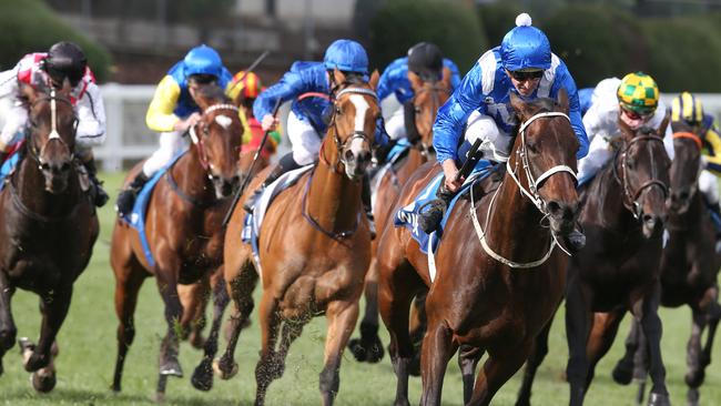 Winx charged away from the field at the top of the straight. Picture: David Crosling