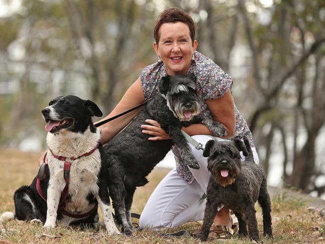 28/2/2019: Susan Krimmer able again to enjoy a walk with her dogs, including "Smudge" ( the little terrier with the grey snout) at a park in Bulimba, Brisbane. Susan's life was saved by genetic testing for cancer, and is an ideal example of Genomic Medicine. Lyndon Mechielsen/The Australian