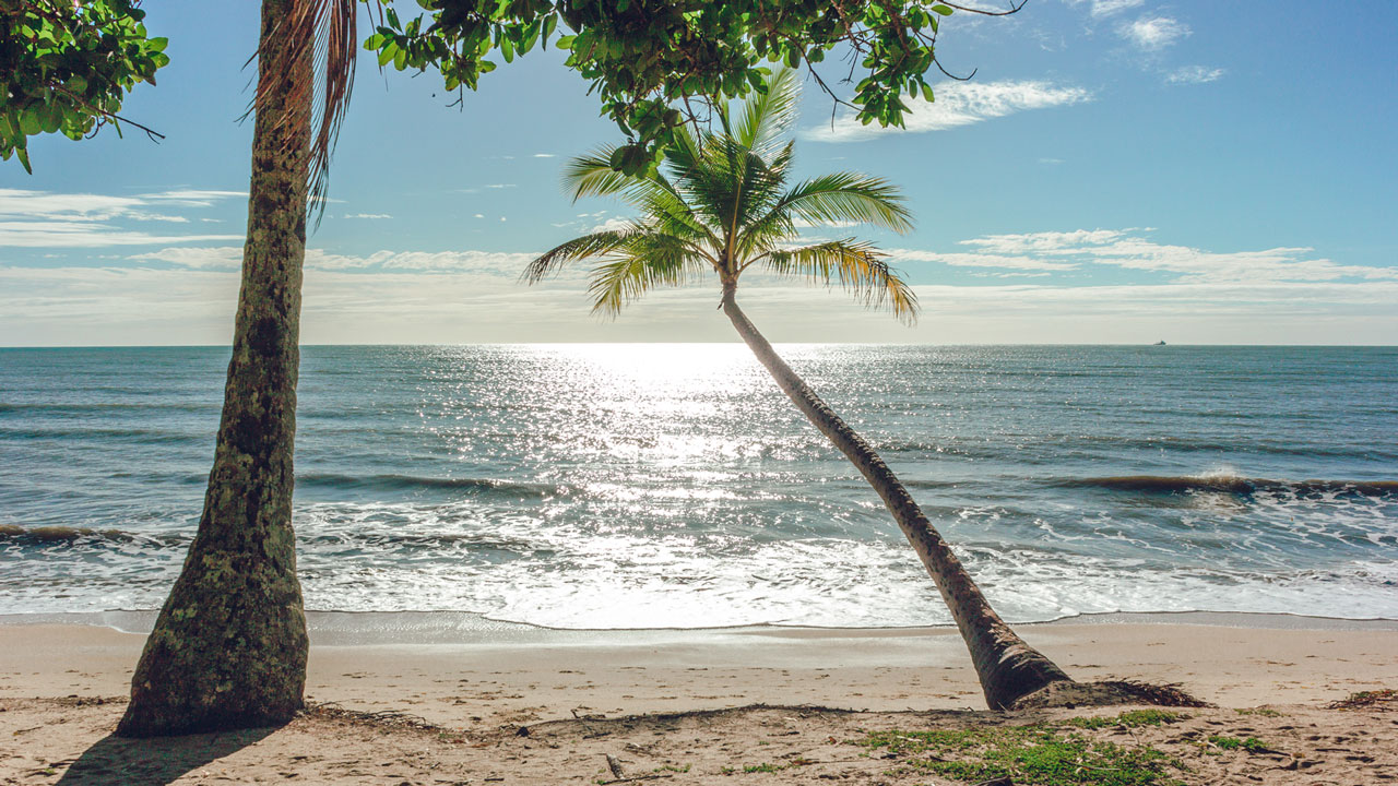 <h2>Clifton Beach, Cairns</h2><p><span>Close to Cairns but away from other tourists is Clifton Beach. Considered a local&rsquo;s haunt, this beach is patrolled by a lifeguard and has a stinger net during summer. It&rsquo;s also a lovely, laidback spot to take kids as there is a playground nearby and you can cook lunch on a barbecue or enjoy a picnic under shelter. Pack your bicycles and skateboards to enjoy the beachside path that runs north to Palm Cove.</span></p>