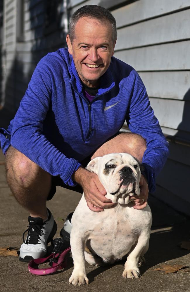 Bill Shorten poses for photographs with his dog Tilley in Melbourne. Picture: AAP 