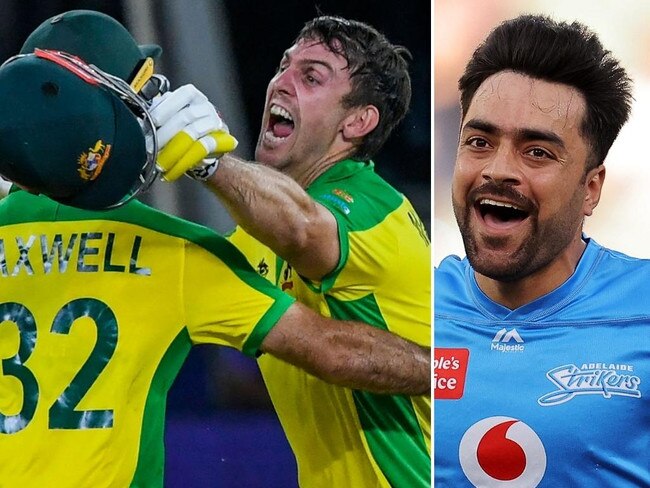 BBL top 50 players: World Cup heroes dominate